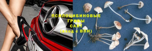 прущие грибы Верхнеуральск