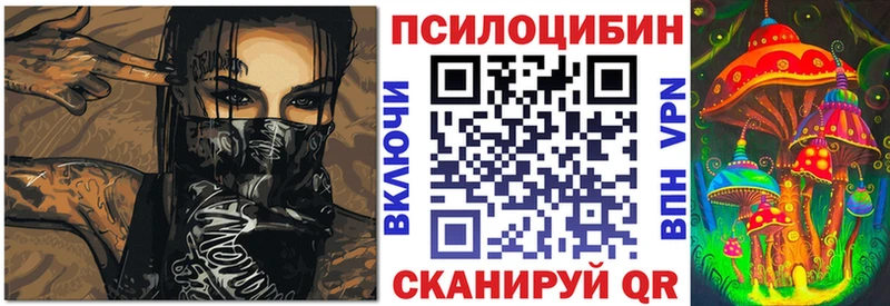Купить  Бирск  Галлюциногенные грибы GOLDEN TEACHER 